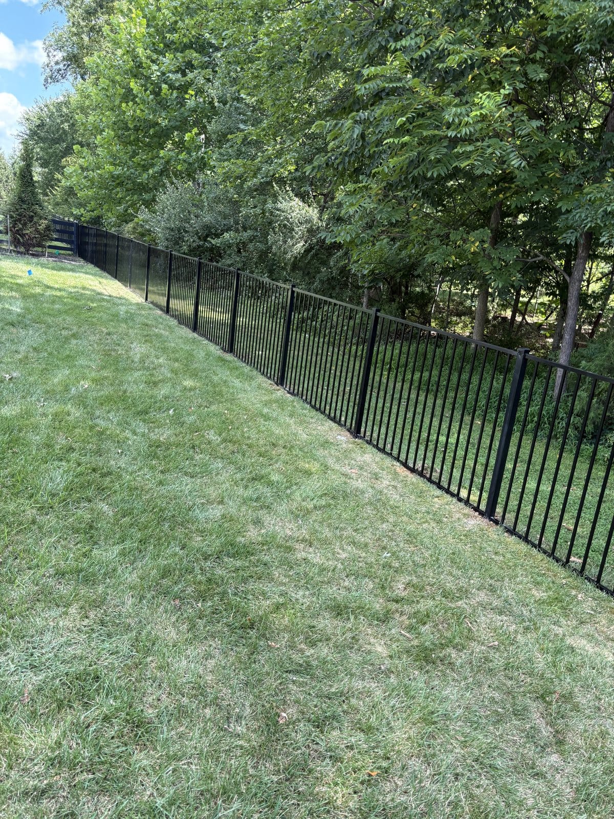 Black aluminum ornamental fence carried along a sloped yard to the tree line